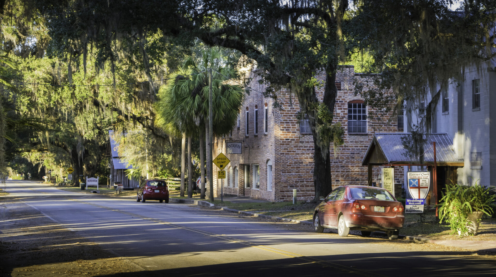 Quaint street with trees and parked cars.